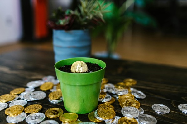 Bitcoin-style cryptocurrency coin planted in a small pot surrounded by scattered gold and silver coins